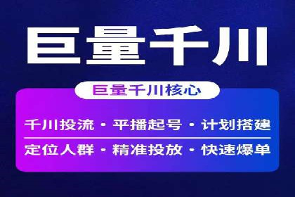成功案例解析：SEO与SEM协同营销策略